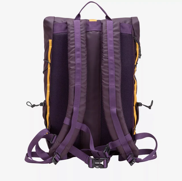 Dayle Roll Top Backpack 21/25L Purple